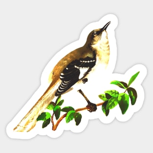 Bird on the green branch Sticker